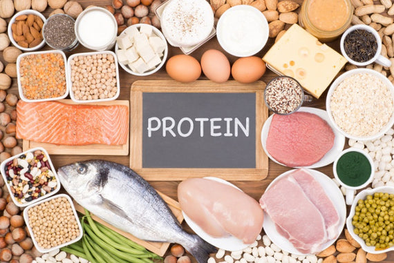 Why Protein is important for Weightloss?